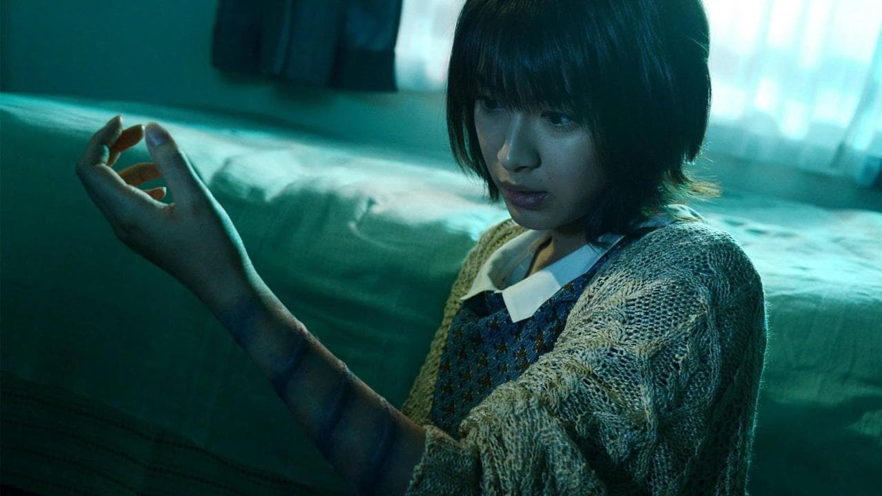 257527 백드롭 이미지
