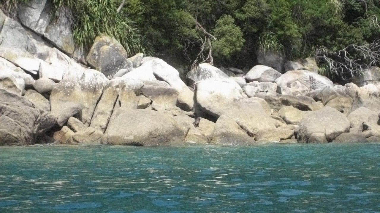16651 백드롭 이미지