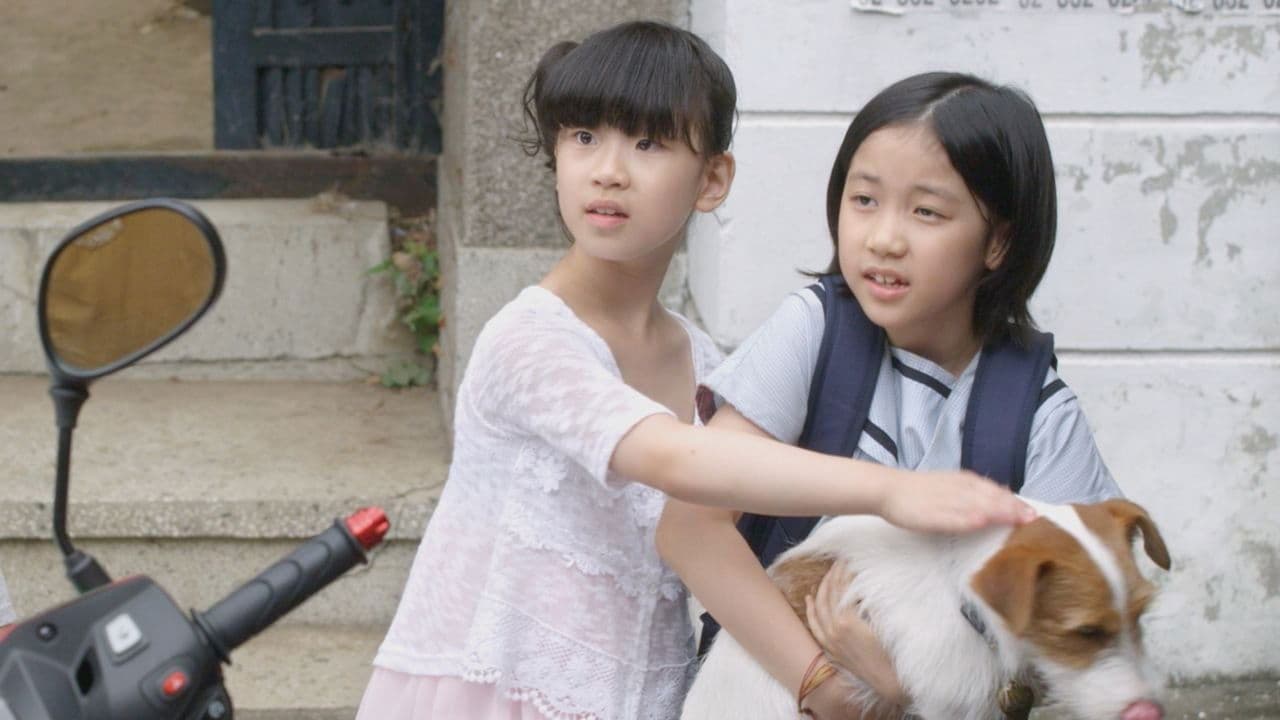 282153 백드롭 이미지