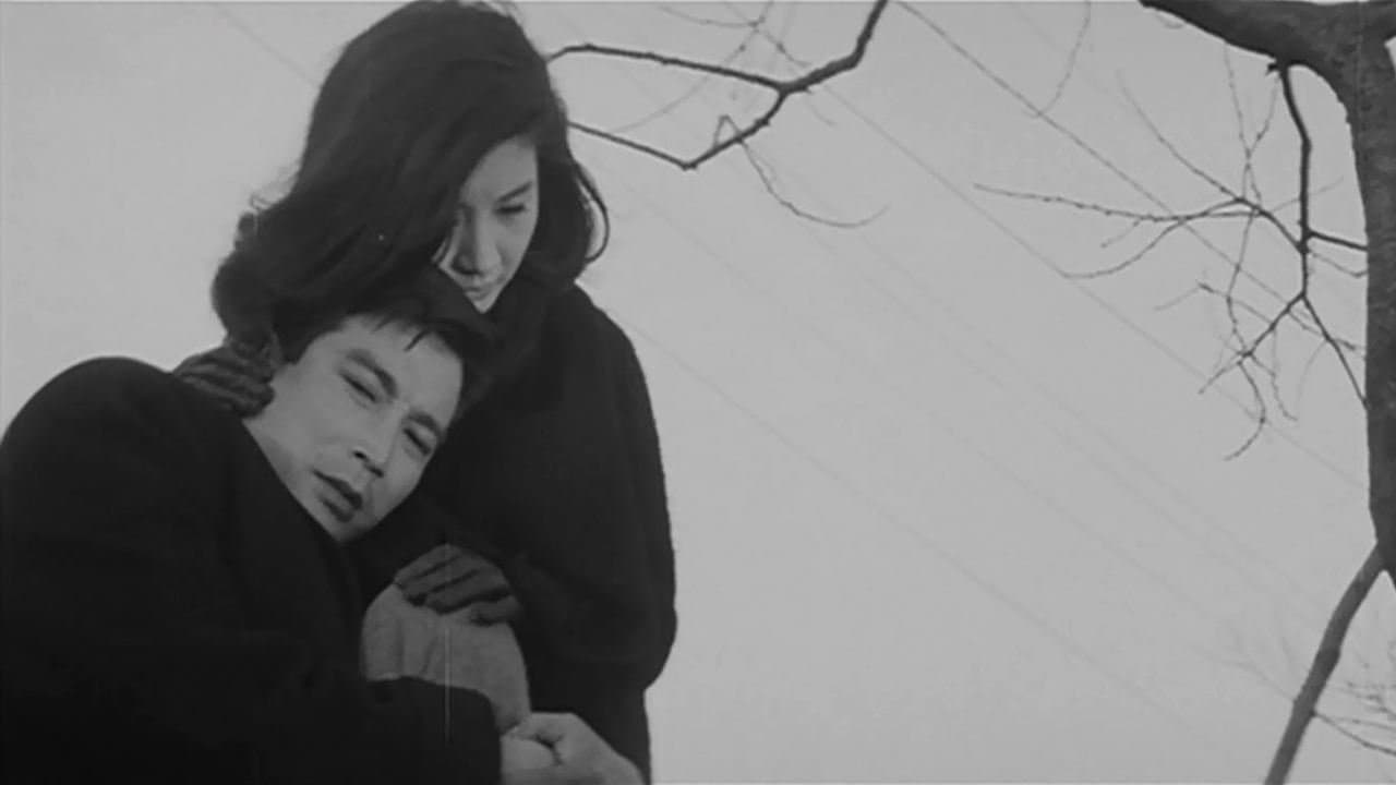 267874 백드롭 이미지