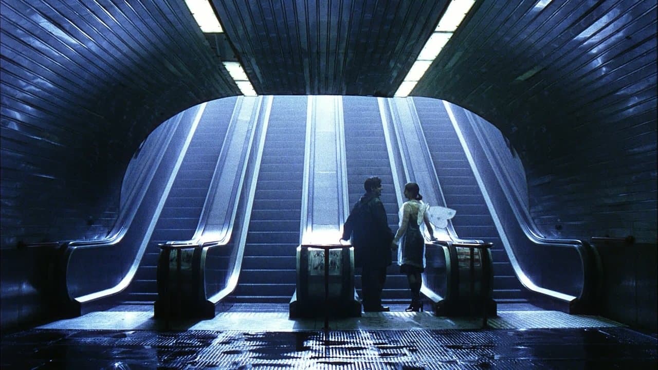 5204 백드롭 이미지