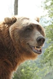 Bart the Bear 이미지