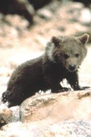 Youk the Bear 이미지
