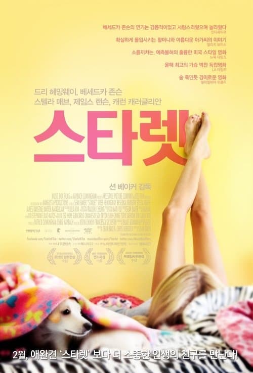 스타렛 포스터 이미지