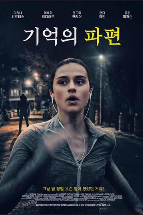 기억의 파편 포스터 이미지