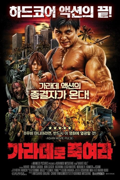 가라데로 죽여라 포스터 이미지