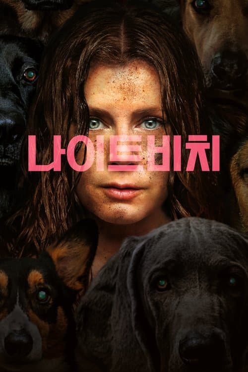 나이트비치 포스터 이미지