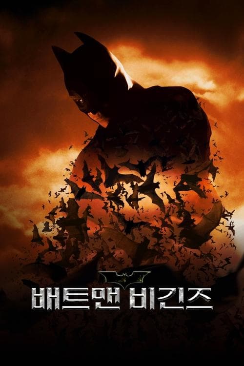 배트맨 비긴즈 포스터 이미지