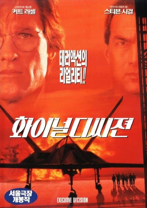 화이널 디씨전 포스터 이미지