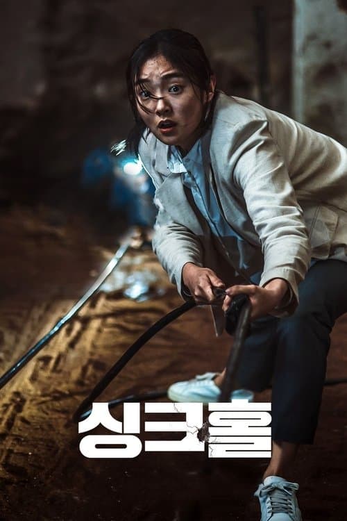 싱크홀 포스터 이미지