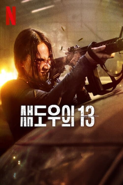 섀도우의 13 포스터 이미지