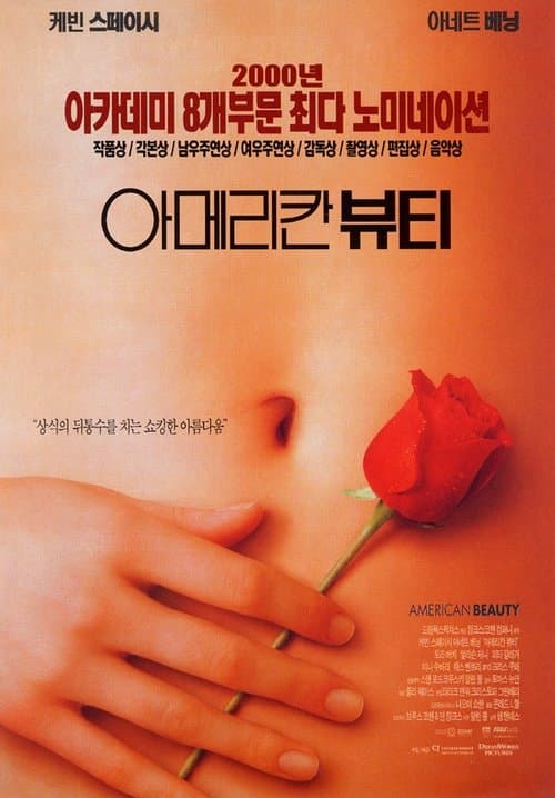 아메리칸 뷰티 포스터 이미지
