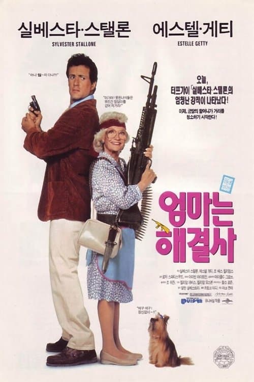 엄마는 해결사 포스터 이미지