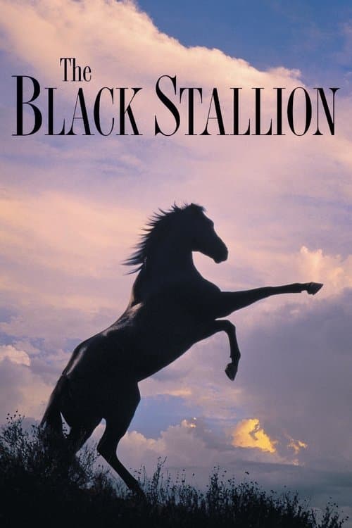 17264