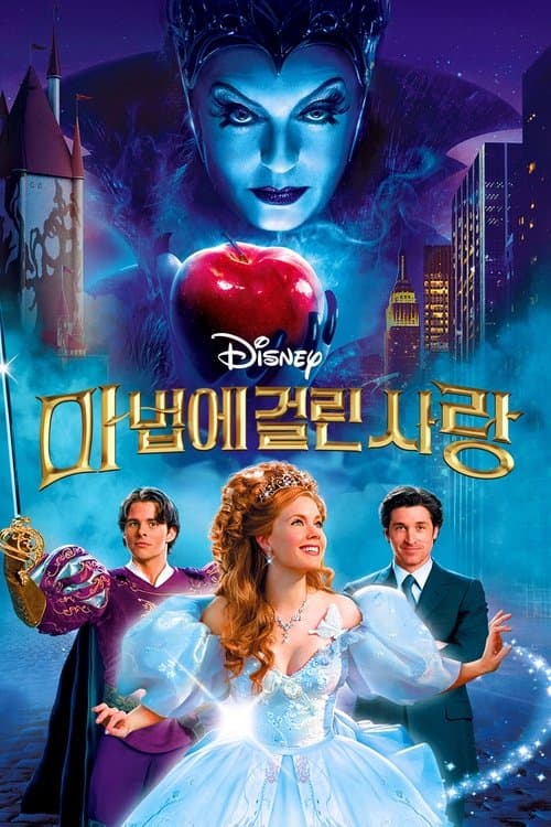 마법에 걸린 사랑 포스터 이미지